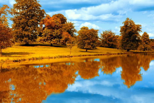 1201100 (a): :1920x1280